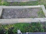 image number sg568